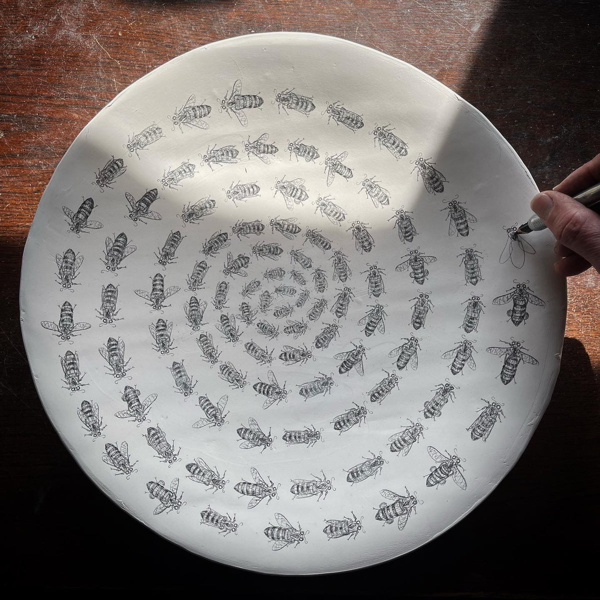 The handmade plates – Tom Rooth