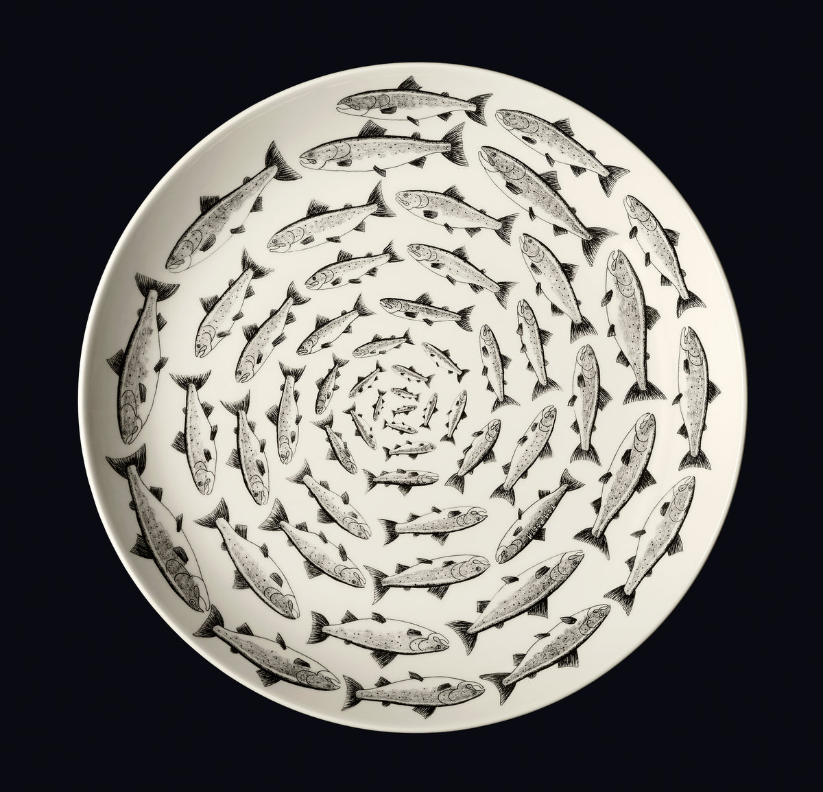Salmon – Tom Rooth