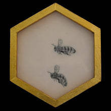  Honeycomb, flying bees