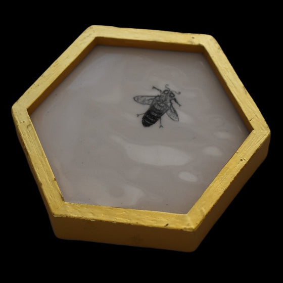 Honeycomb: one bee