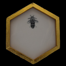  Honeycomb: one bee