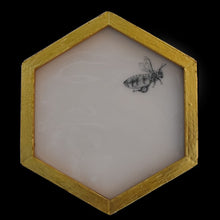  Honeycomb, flying bee