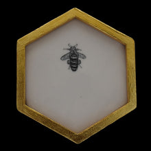  Honeycomb: one bee