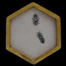  Honeycomb: two bees