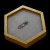 Honeycomb, Queen bee