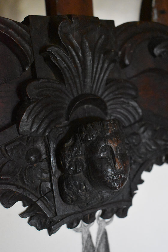 A giant Ceredigion greater horseshoe bat, hanging from an English 17th century hand-carved oak frame