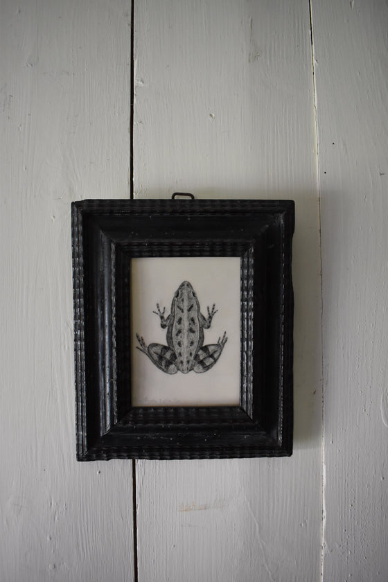 FROG, in a hand-carved ebonised 17th century Dutch frame
