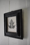 FROG, in a hand-carved ebonised 17th century Dutch frame