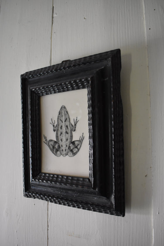 FROG, in a hand-carved ebonised 17th century Dutch frame