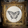 Swallowtail butterfly, in an 18th century English hand-carved and water-gilded frame