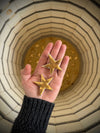 Lucky LITTLE Star - GOLD