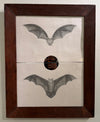 Bats on a full moon, in a 19th century mahogany frame