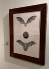 Bats on a full moon, in a 19th century mahogany frame