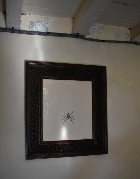 A giant house spider, presented in a hand-carved spiderweb patterned frame, Punjab, circa 1880