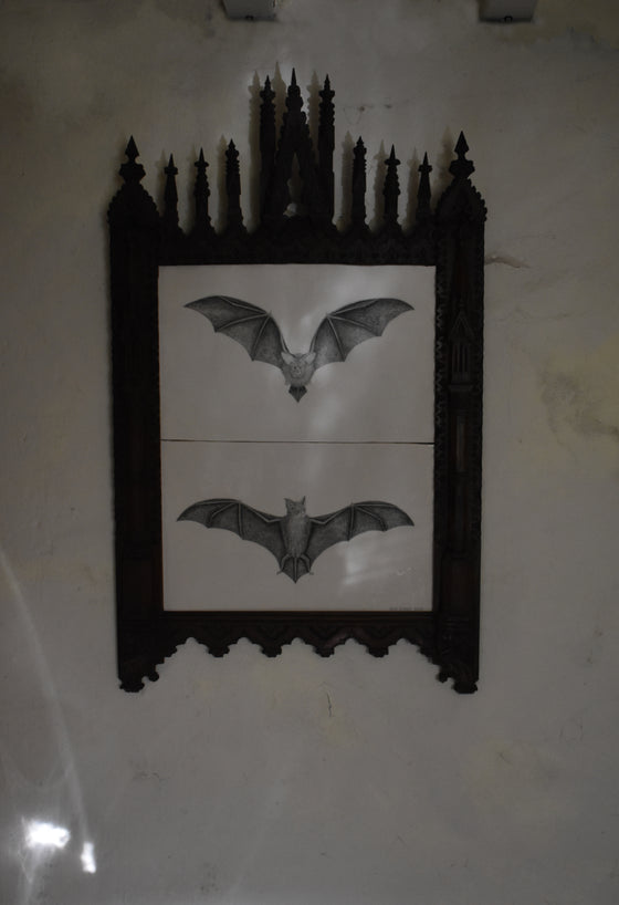 Greater horseshoe bats (life-sized), presented in a hand-carved gothic cathedral style frame, Northern French, 19th Century