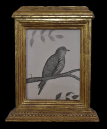  Cuckoo in an ash tree, in an Italian hand-carved and water-gilded 19th century free-standing frame