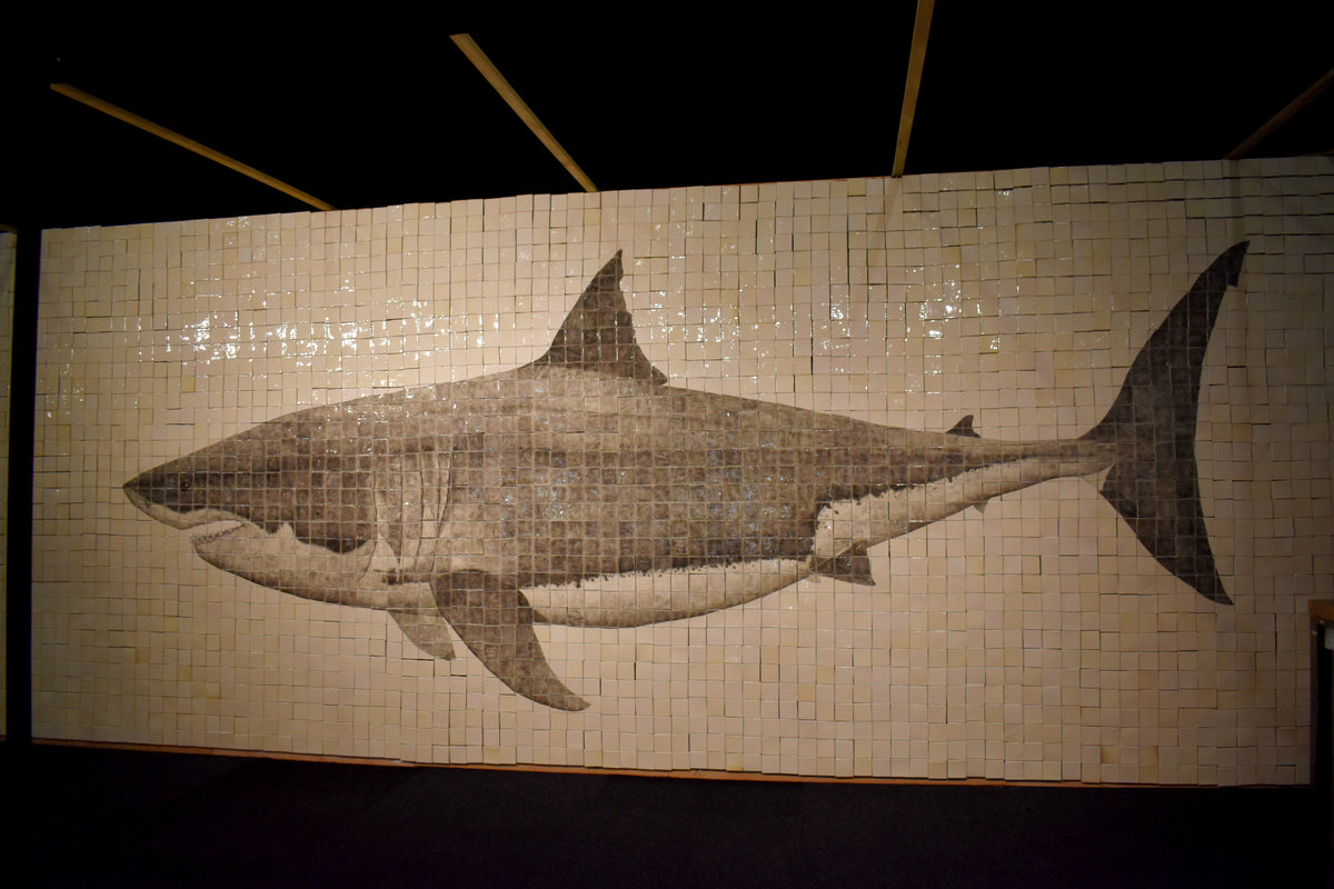 The great white shark, Deep Blue, life-size – Tom Rooth