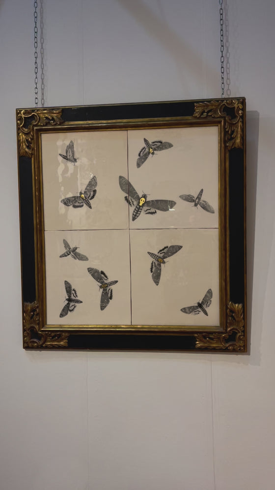 Death's-head moths with gold lustre, in a mid-20th century water-gilded cassetta frame