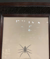 A giant house spider, presented in a hand-carved spiderweb patterned frame, Punjab, circa 1880