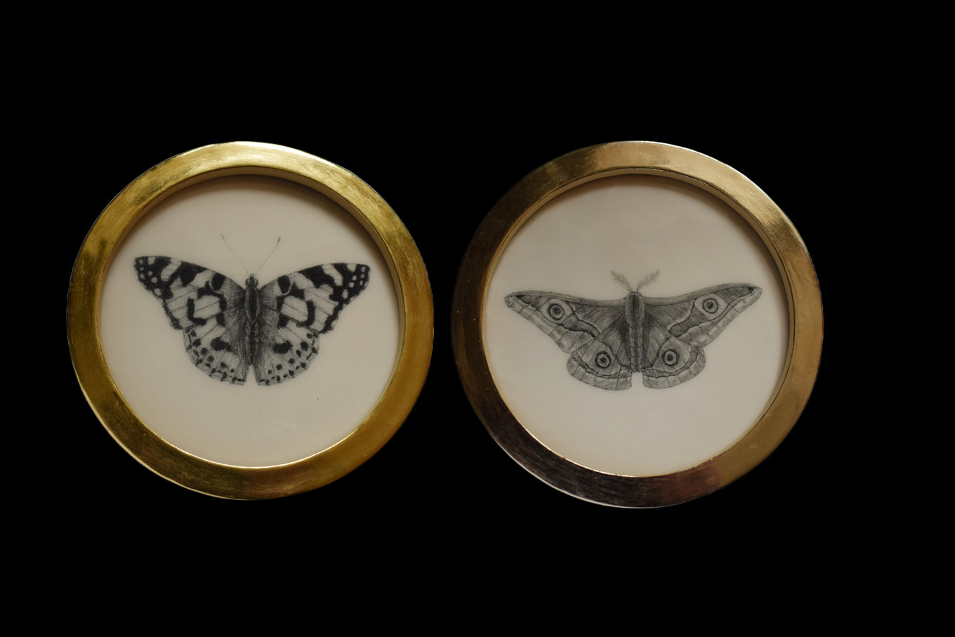 Tom Rooth | hand-drawn and handmade ceramic artworks