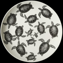  Turtle traffic